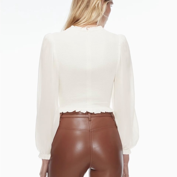 Aritzia Wilfred Tempest smoked chiffon blouse in light birch xs - Picture 6 of 6